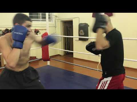 Артур Тарнопольский работа на лапах