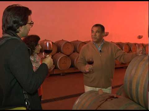 Paço dos Cunhas de Santar