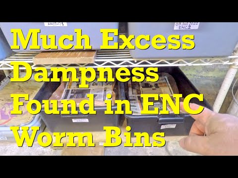 Overly damp 224- & 200-day ENC worm bins fed after 2 weeks - vermicompost