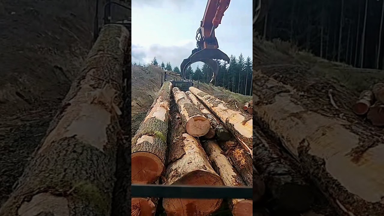 Video 1