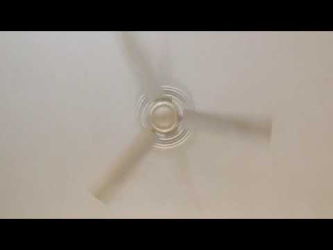 Karan Singh one morning