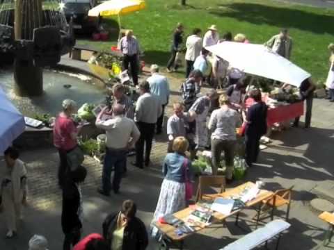 10. Pflanzenbörse der Kolpingsfamilie Olpe