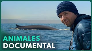 Thumbnail del capítulo