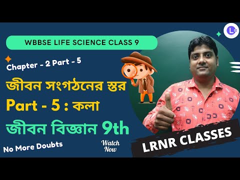 Chapter 2 Kola (কলা) || Jibon Songhothoner Stor PART-5