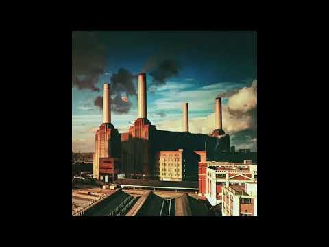 Pink Floyd - Dogs (isolated organ)