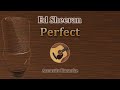 Perfect - Ed Sheeran (Acoustic Karaoke)