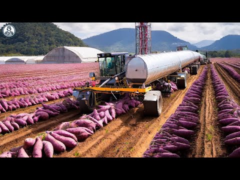 Satisfying Videos Food Processing Machines That At Another Level ▶130