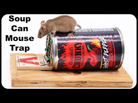 How To Make A Live Catch Mouse Trap Using A Soup Can & A Snap Trap. Mousetrap Monday.