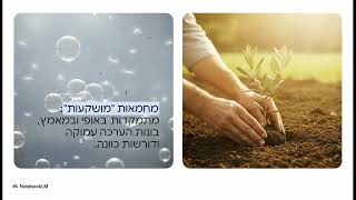 💡 אמנות המחמאה – גלו את 