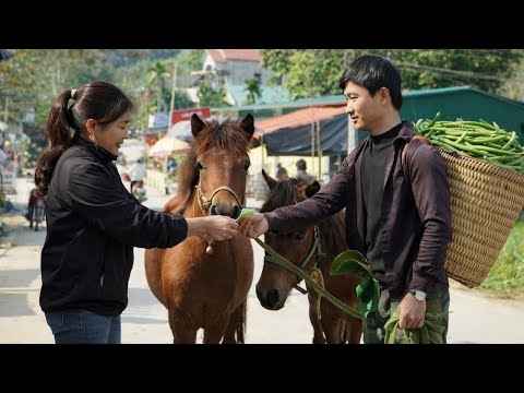 A great day for the CEO and Micky, herding horses and harvesting beans.
