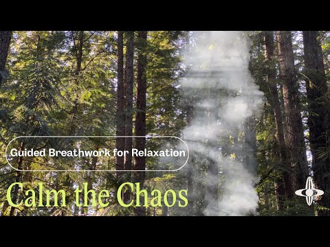 Calm the Chaos | Grounding Breathwork (13 minutes)