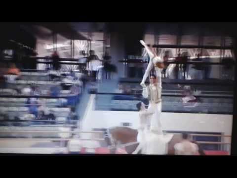 Team Neuss - CVI Doha/Katar 2014 Kür