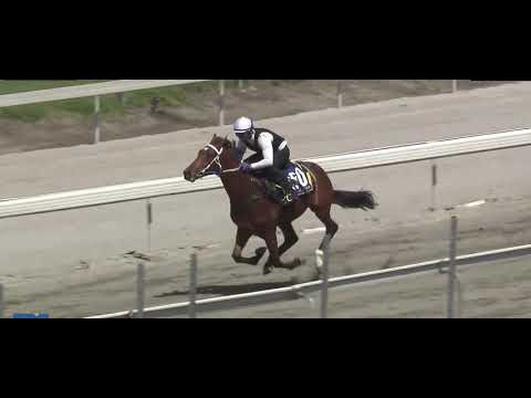 Casino Prince / Favourite Way