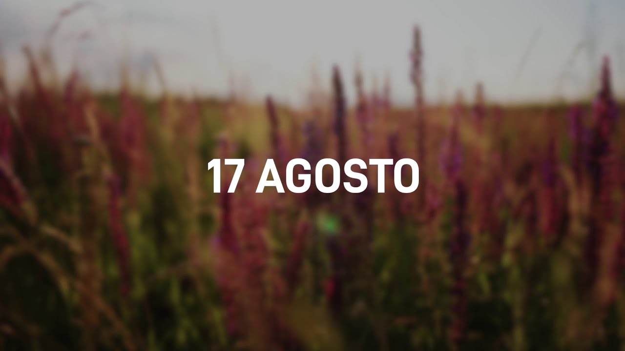 17 Agosto 2025 | Meditazione Parole di Vita