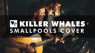 Vinyl Theatre: Killer Whales (Smallpools Cover)
