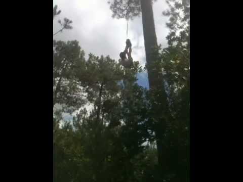 comment monter a un arbre