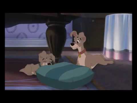 Lady and the tramp 2 part : two