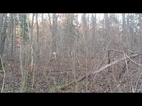 Trasa rowerowa w Wejherowie 1 grudnia 2025