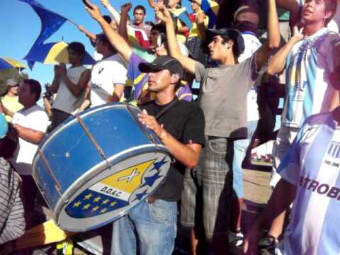 don orione contra los gatos de albear