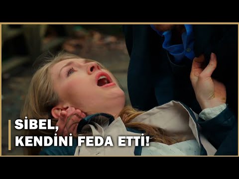 Seyhan, Sibel'i Vurdu! - Şeref Meselesi 21.Bölüm