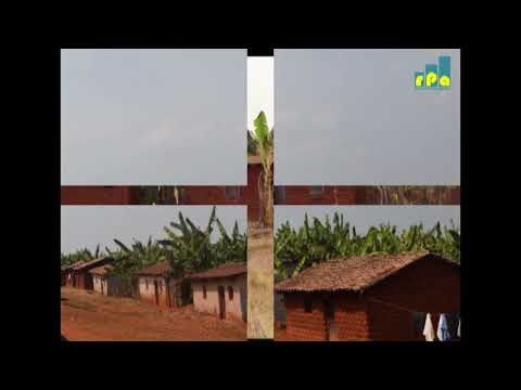 Amazu  y'abateshejwe izabo bo muri site Buraza barenga 150 yarabomowe n'abajejwe intwaro muri Buraza