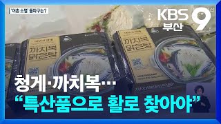 [KBS부산] 청게·까치복…“특산품으로 활로 찾아야”