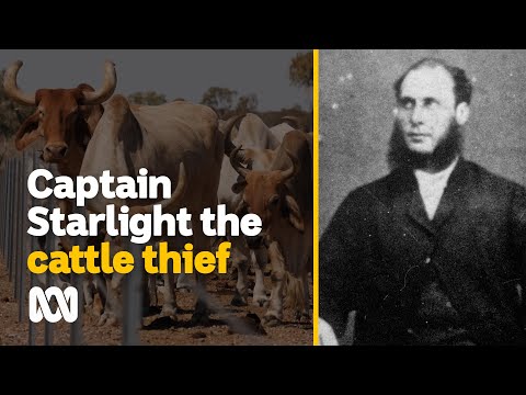 Captain Starlight the biggest cattle thief in the world | Amazing Australia | ABC Australia