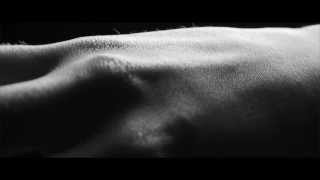 Editors - A Ton Of Love (Official Video)