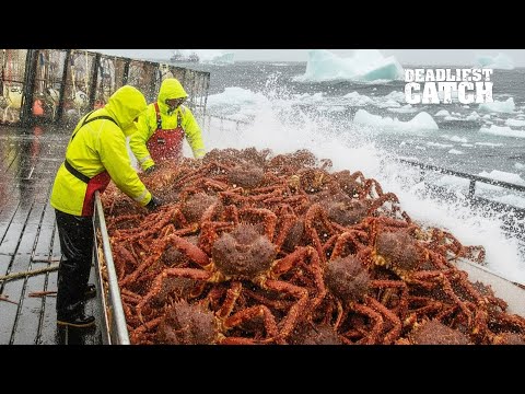 Top 10 Most Dangerous Jobs in the American Fishing Industry Paying $100,000 a Year