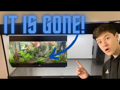 I DESTROYED My Juwel Rio 180 And Gave You My 2 Year REVIEW! // Juwel Rio 180 Discus Tank (Part 1)