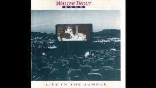 Walter Trout Band -  She's out there Somewhere