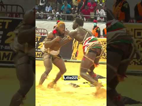 Khekh bou Metti Prince vs Mor Kang Touti niou rayanté🥹 #shortvideo abonnez-vous