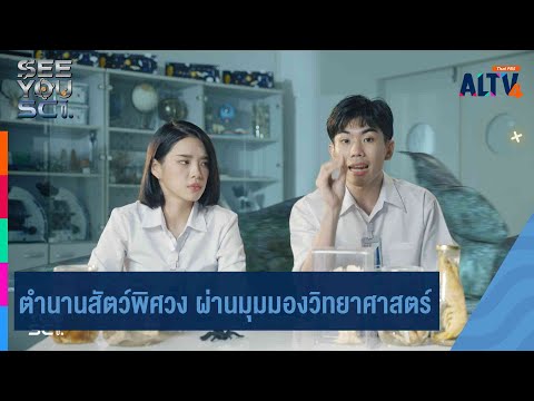 คลิกเพื่อดูคลิปวิดีโอ