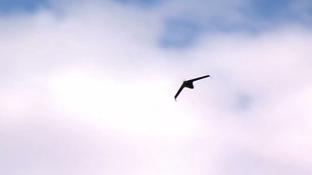 Watch BirdEye 650D in Action