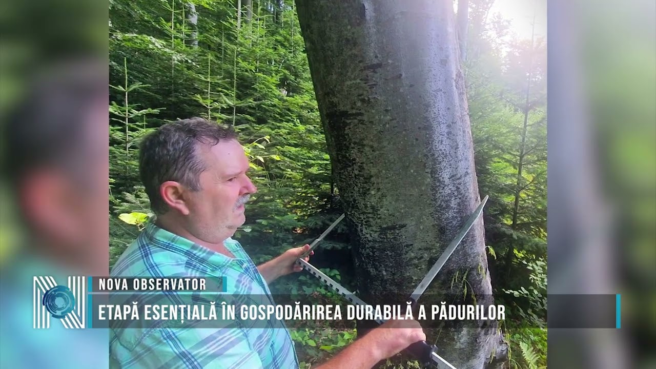 Etapă esențială în gospodărirea durabilă a pădurilor