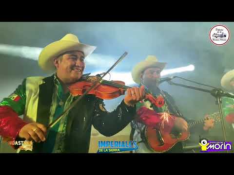 Cumbias Norteñas - Voy a Danzar (Estreno) / Feliz feliz / Traicionera / Muchacha Triste.