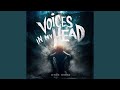 Voices in My Head