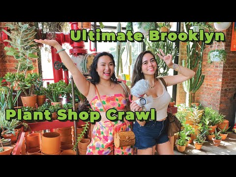 Ultimate Brooklyn Plant Shop Crawl | 8 Plant Shop Hopping Tour NY | Tula, Crest, Moss & Green & more