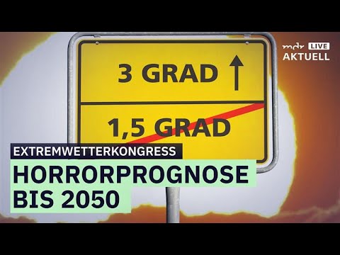 Horror prediction: 3 degrees of global warming by 2050? | MDR AKTUELL live