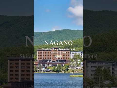 Shirakaba Resort Ikenotaira Hotel  ｜Shirakaba Onsen, Nagano