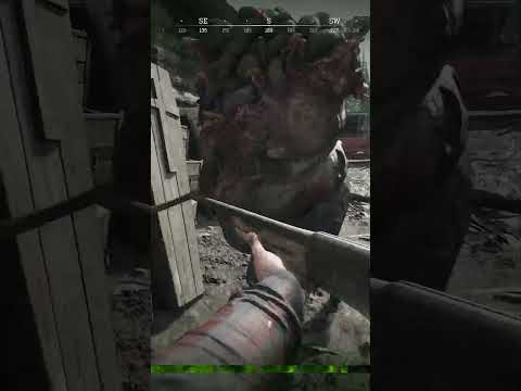 Steam Community :: Video :: Hunt Showdown 1896 Kill Compilation ...