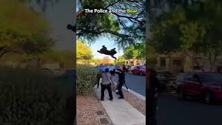 Funny cop moments 🤣Bro,reality isn’t GTA 😎 #foryou #funny #fyp #animals #bear