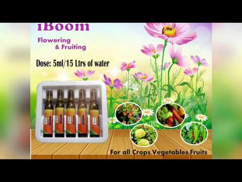 Ample Plant Growth Promoter