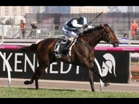 2017 VRC Oaks Stakes Aerial View