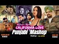 California Love Punjabi Mashup 2024 Sidhu Moosewala Ft Sonam Bajwa Shubh VDj Hitesh