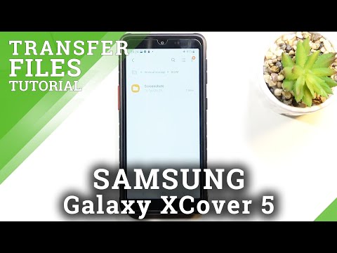 How to Transfer Files from SD Card to SAMSUNG Galaxy XCover 5 Internal Storage – Copy Data