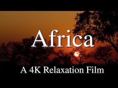 Africa 4K - Relaxation Film with Relaxing Music