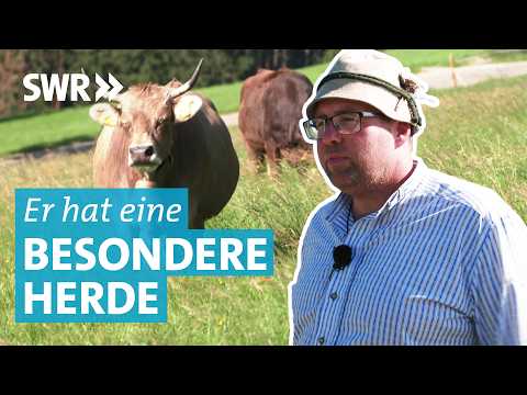 Seltene Rasse: Die Königin vom Allgäu