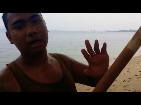 Beach worm (Singapore)