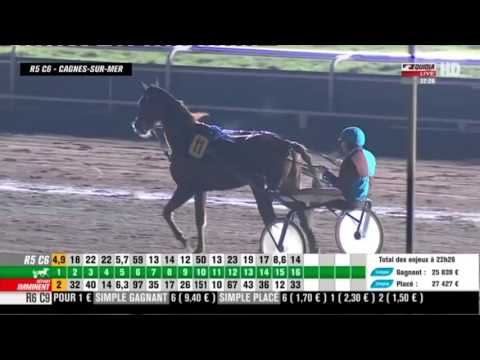 Ambasadeur d'Am 16/02/2016